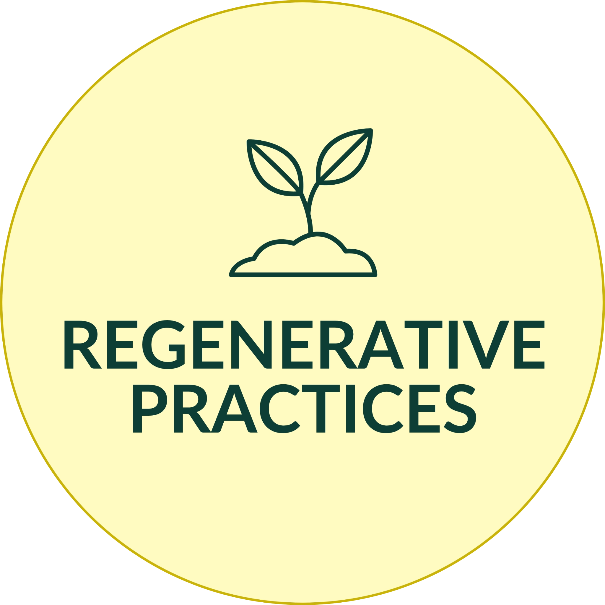 Regenerative Practices